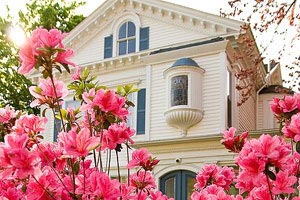 博洛尼亚主场被那不勒斯击溃，保持低迷状态