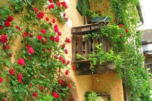 蟒蛇队稳拿胜利让对手望尘莫及