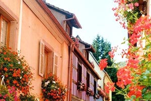 博洛尼亚主场被那不勒斯击溃，保持低迷状态